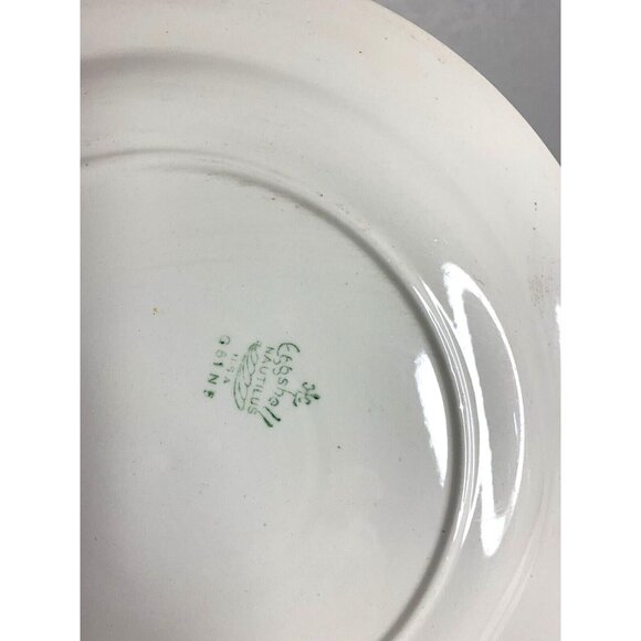 Nautilus Eggshell G5N5 Lot of 3 Dinner Plate Multicolor Floral Rim - Picture 3 of 3